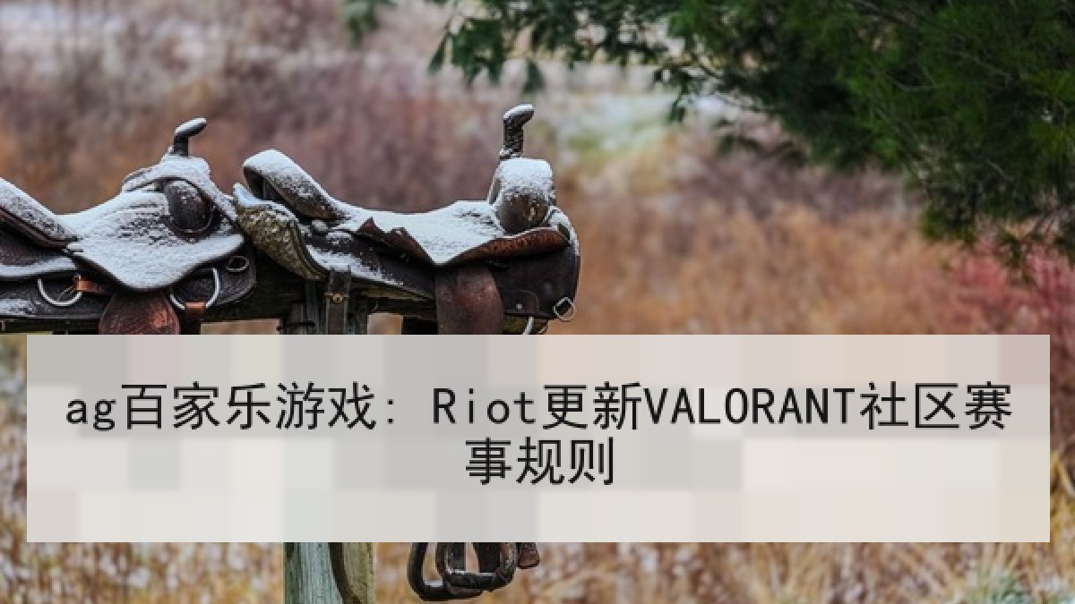 ag百家乐游戏: Riot更新VALORANT社区赛事规则