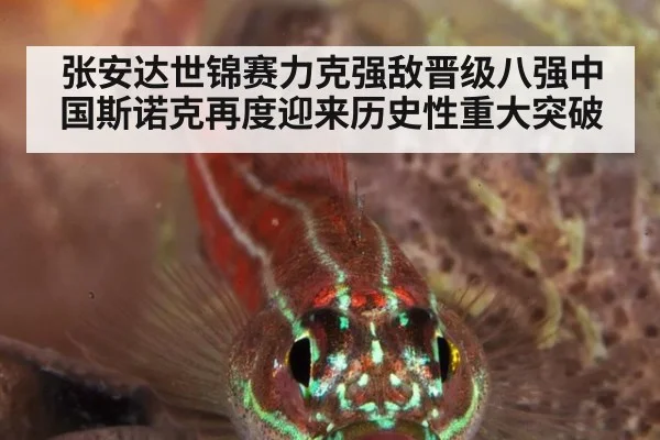 张安达世锦赛力克强敌晋级八强中国斯诺克再度迎来历史性重大突破